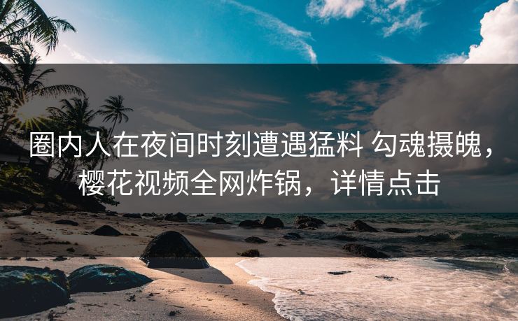 圈内人在夜间时刻遭遇猛料 勾魂摄魄，樱花视频全网炸锅，详情点击