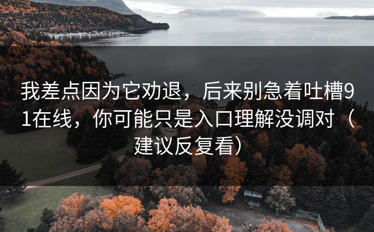 我差点因为它劝退，后来别急着吐槽91在线，你可能只是入口理解没调对（建议反复看）