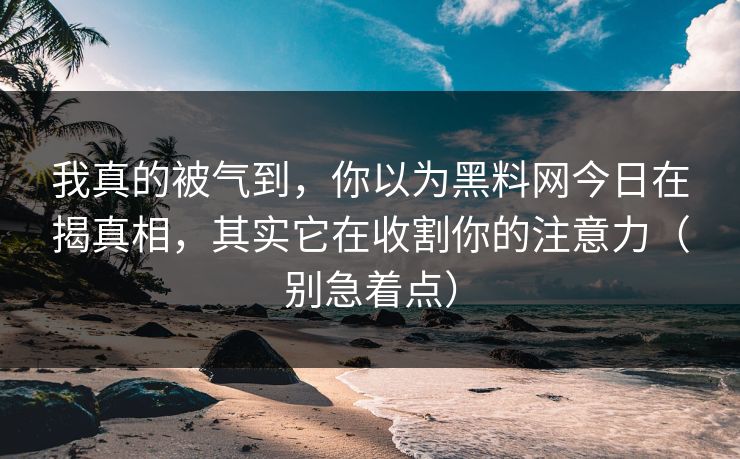 我真的被气到，你以为黑料网今日在揭真相，其实它在收割你的注意力（别急着点）
