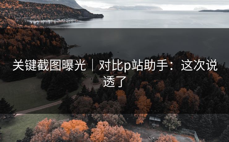 关键截图曝光｜对比p站助手：这次说透了